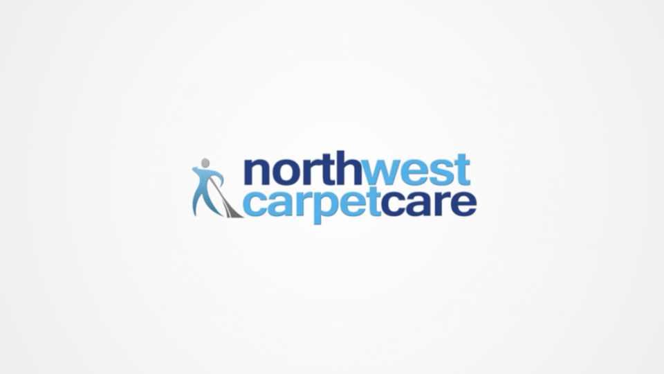 Logo design for cleaning company
