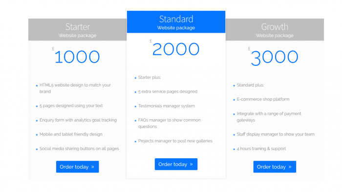business web design packages price table